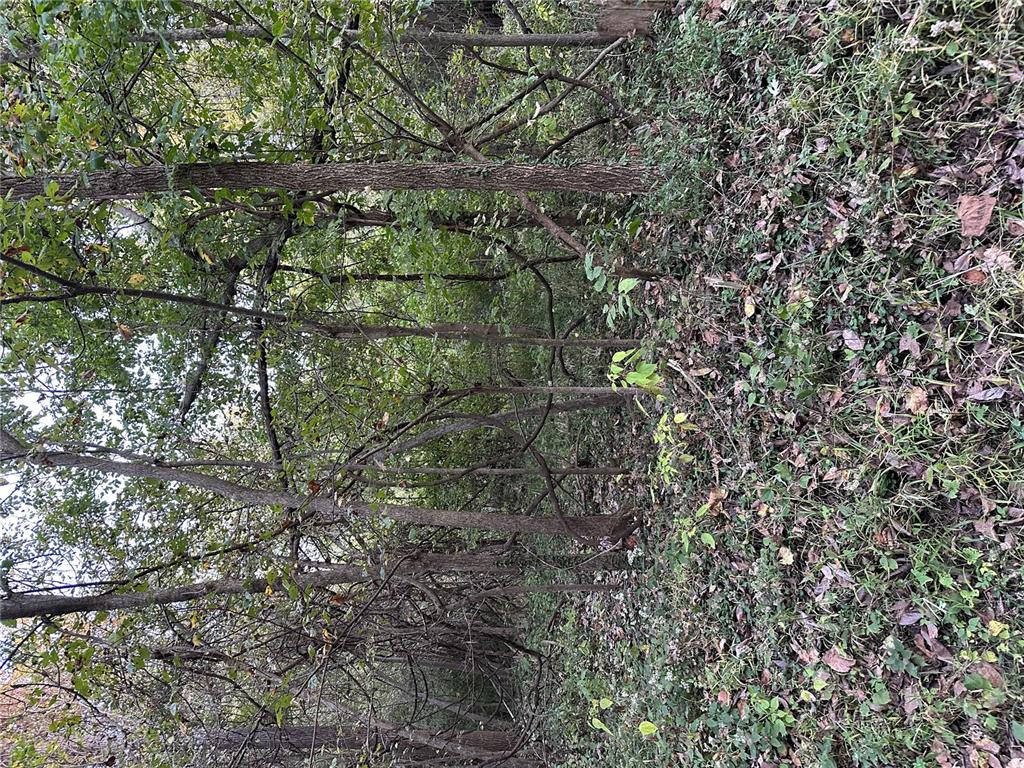 0 Corisande Hills Rd.