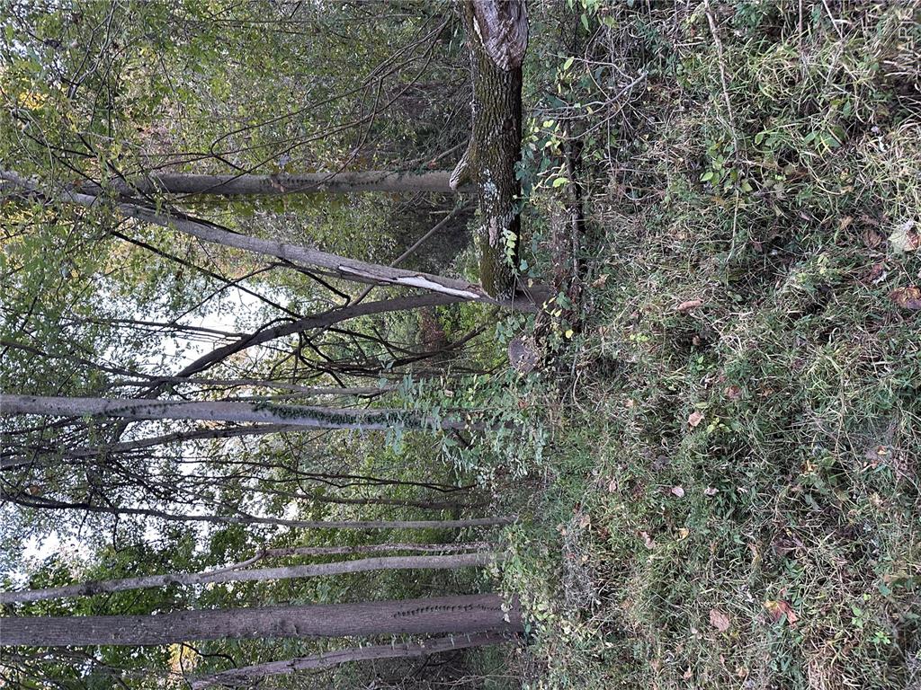0 Corisande Hills Rd. Property Photo 2