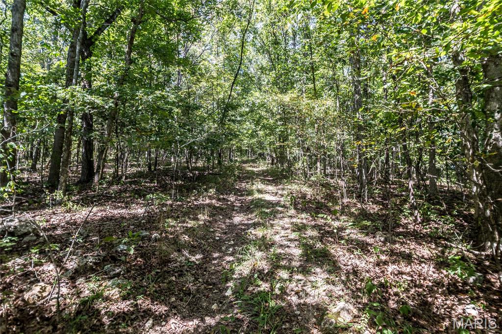 0000 Cr 525 Wayne Property Photo 15