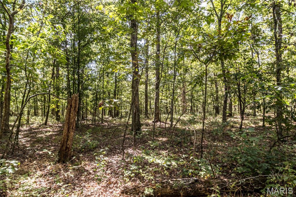 0000 Cr 525 Wayne Property Photo 17