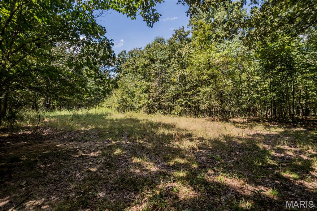 0000 Cr 525 Wayne Property Photo 18
