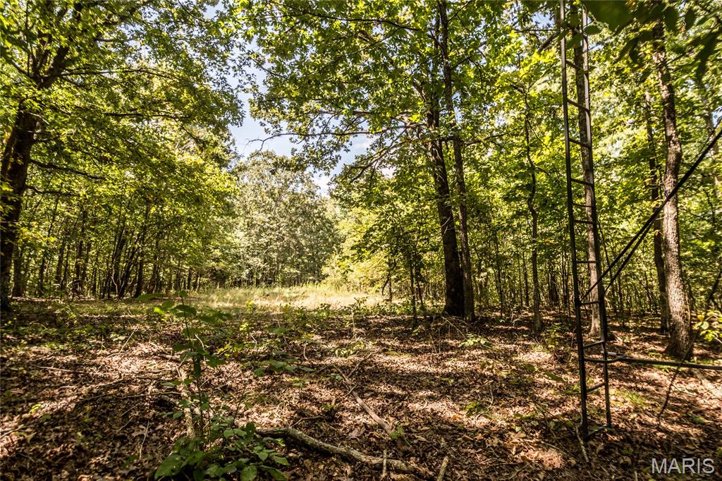 0000 Cr 525 Wayne Property Photo 19