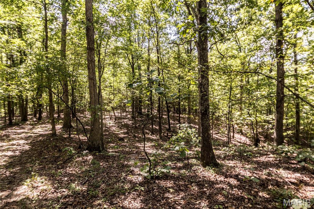 0000 Cr 525 Wayne Property Photo 22