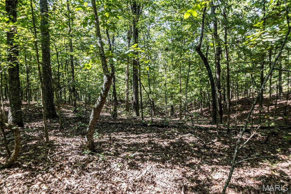 0000 Cr 525 Wayne Property Photo 23