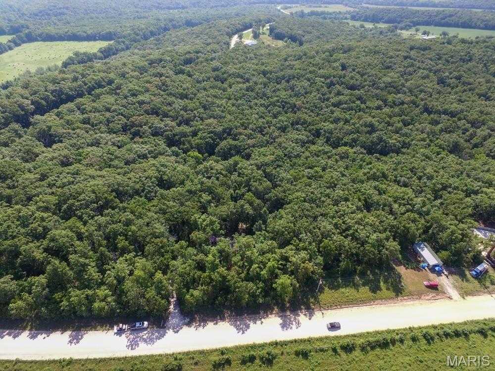 0 County Road 581 Property Photo 1