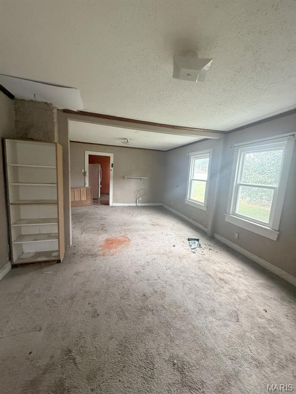 204 Wilson Property Photo 6