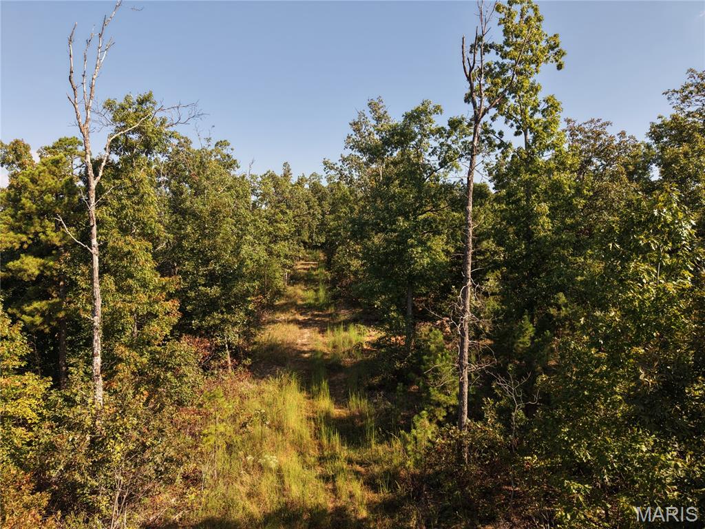 000 Coldwater Creek_lot 24 Property Photo 34