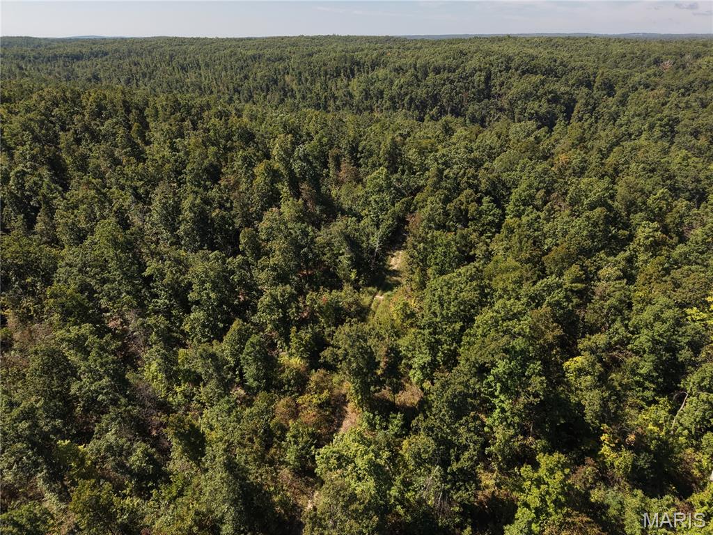 000 Coldwater Creek_lot 24 Property Photo 48