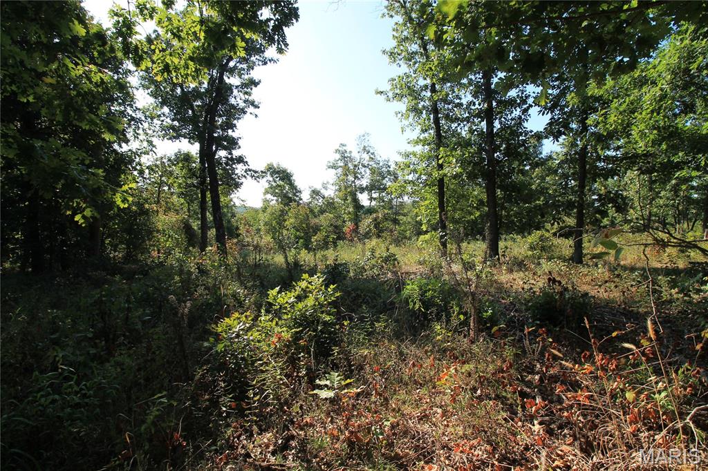 000 Coldwater Creek_lot 25 Property Photo 22