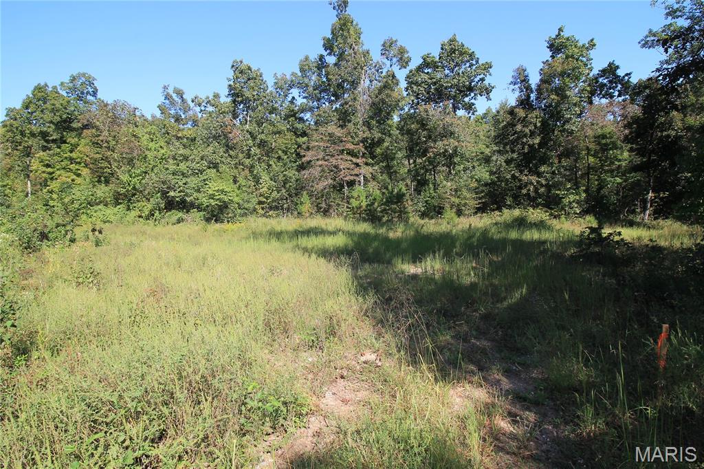 000 Coldwater Creek_lot 25 Property Photo 27