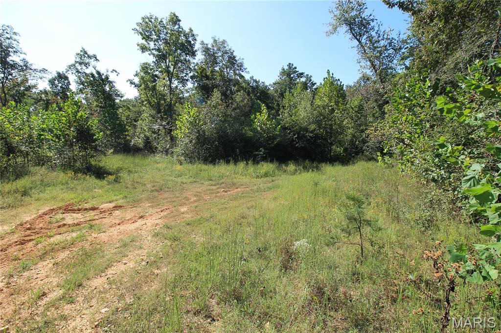 000 Coldwater Creek_lot 25 Property Photo 28
