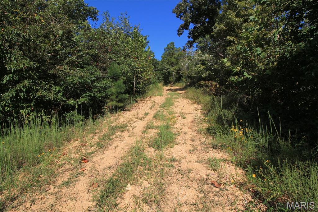 000 Coldwater Creek_lot 25 Property Photo 29