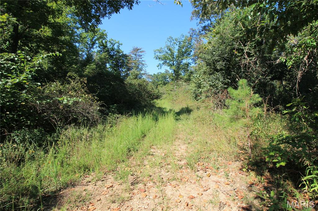 000 Coldwater Creek_lot 25 Property Photo 30