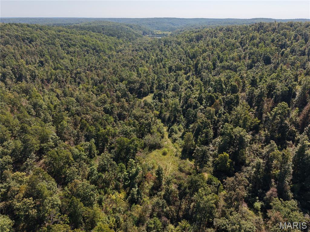 000 Coldwater Creek_lot 25 Property Photo 46