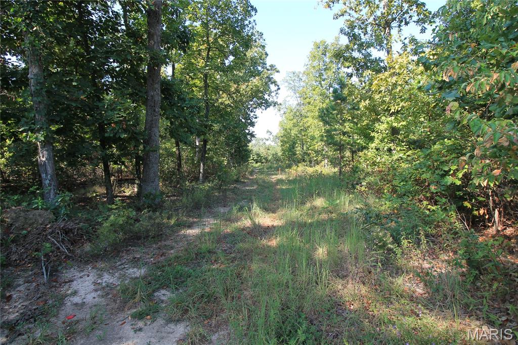 000 Coldwater Creek_lot 26 Property Photo 23