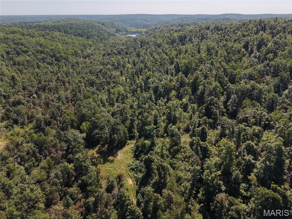 000 Coldwater Creek_lot 26 Property Photo 47