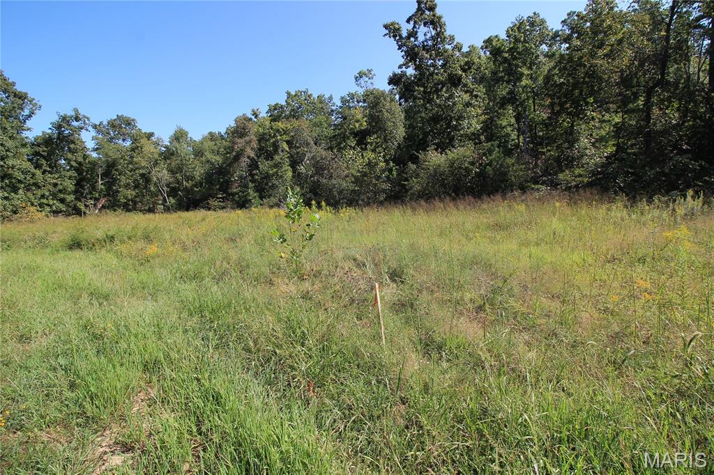 000 Coldwater Creek_lot 28 Property Photo 4