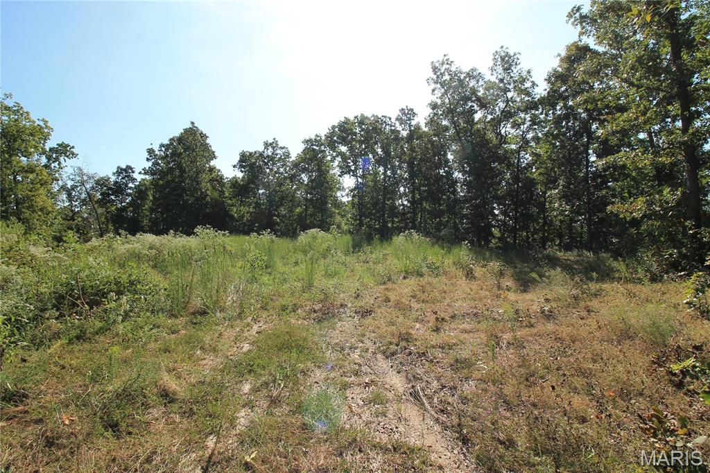 000 Coldwater Creek_lot 31 Property Photo 6