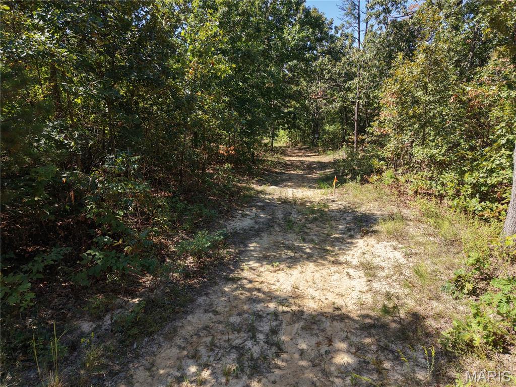 000 Coldwater Creek_lot 31 Property Photo 21