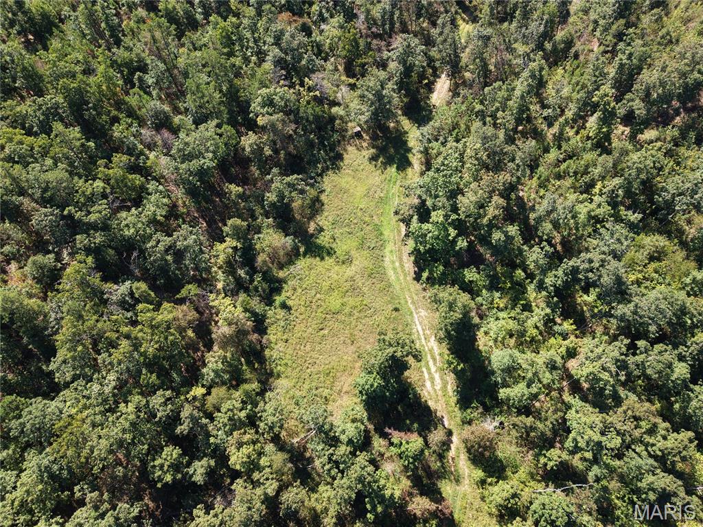 000 Coldwater Creek_lot 31 Property Photo 44