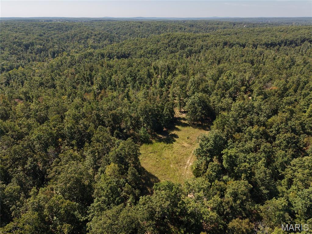 000 Coldwater Creek_lot 31 Property Photo 53