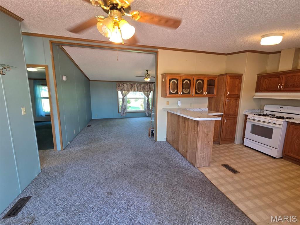31718 Casino Drive Property Photo 21