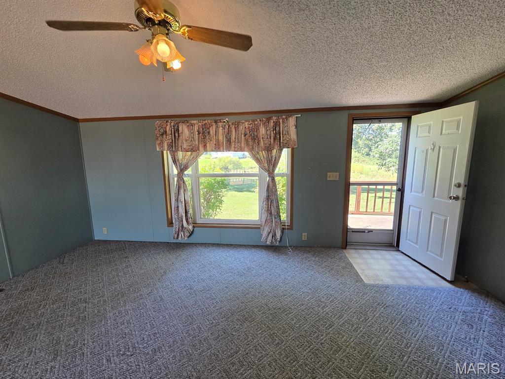 31718 Casino Drive Property Photo 26