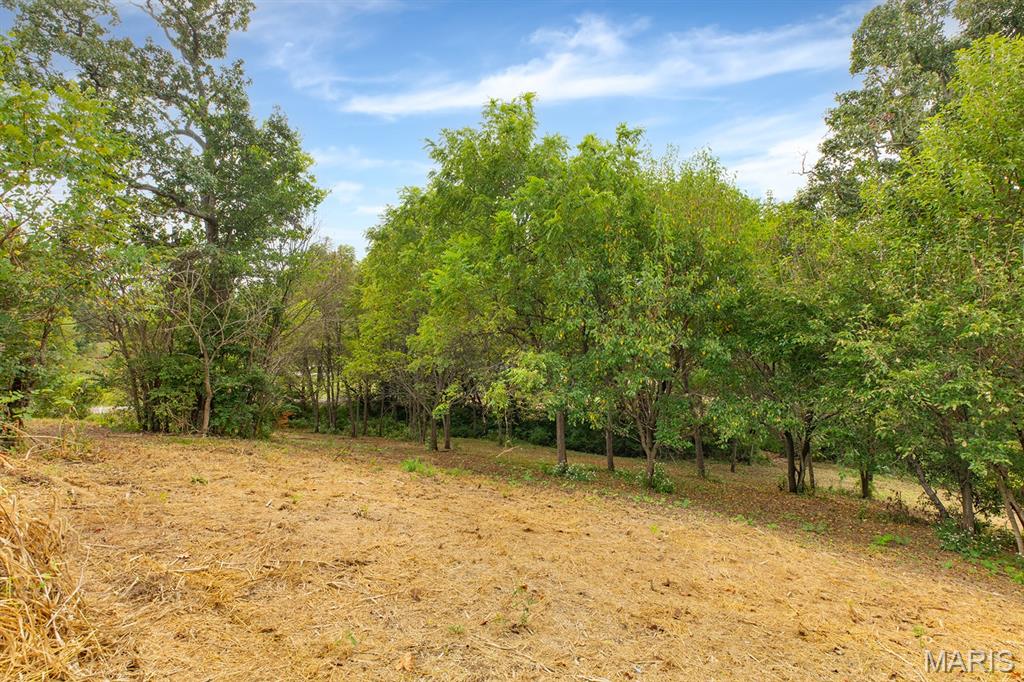 33877 Delhi Road Property Photo 28