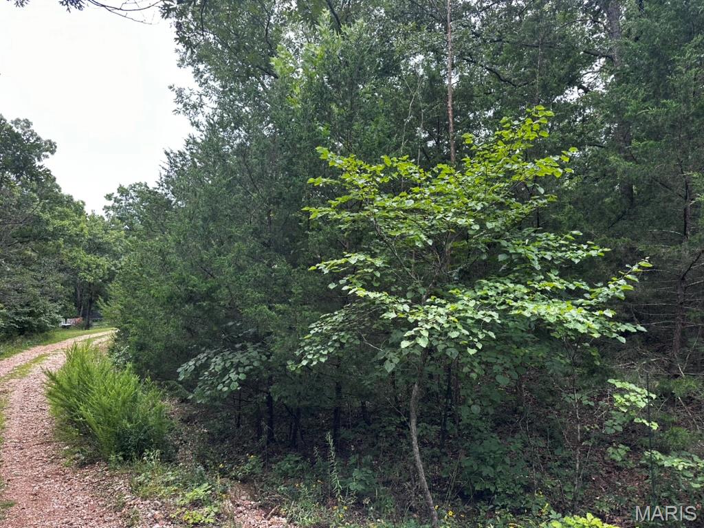 Tbd Spring Lake Dr Avenue Property Photo 1