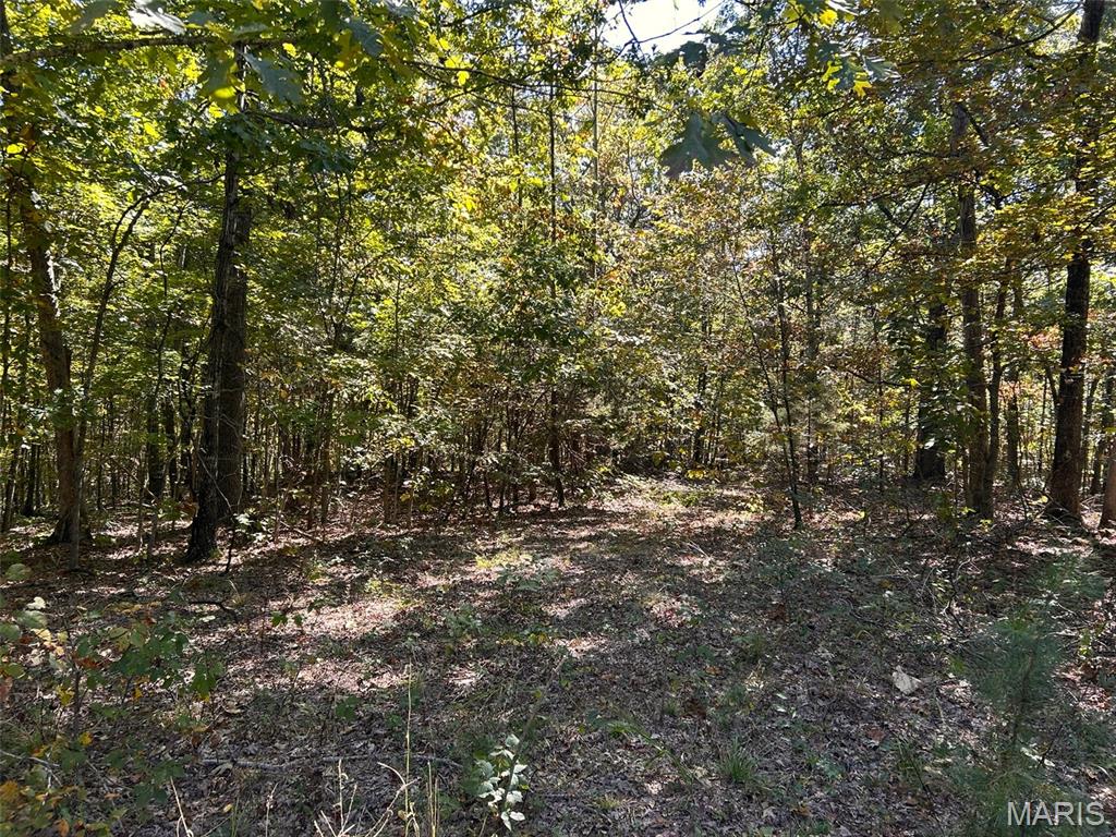 26062204 Property Photo 13