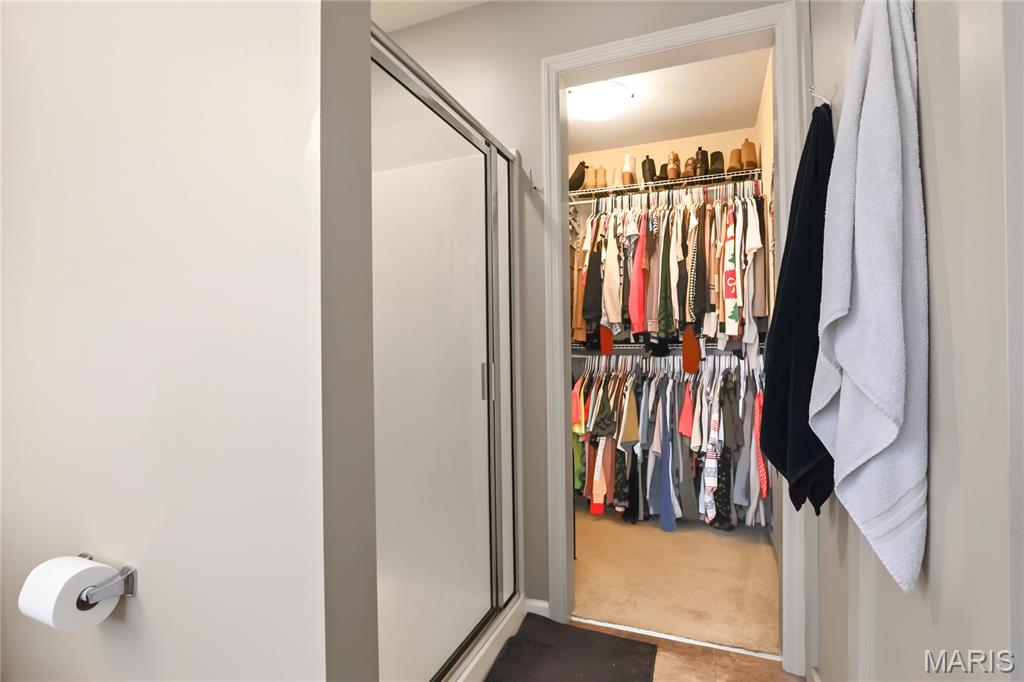 358 Spring Valley Run Property Photo 14