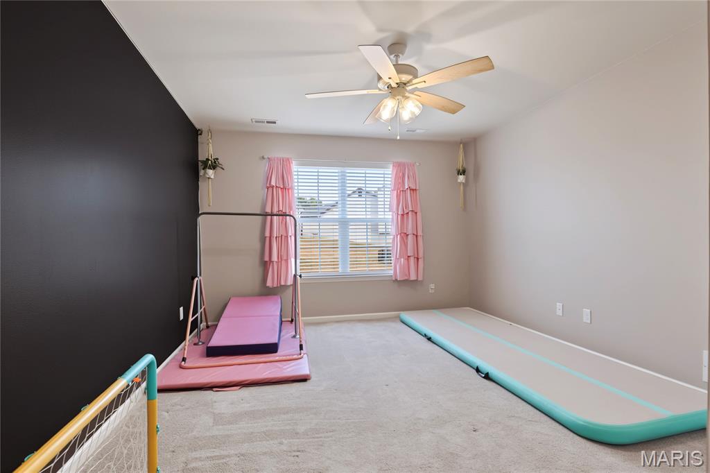 358 Spring Valley Run Property Photo 17