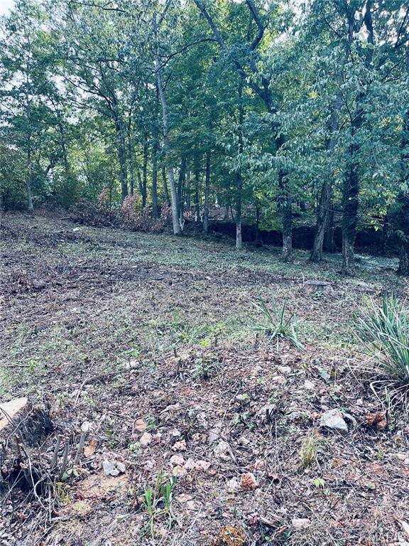 Plat 6 Lot 233 Brown Road Property Photo 1