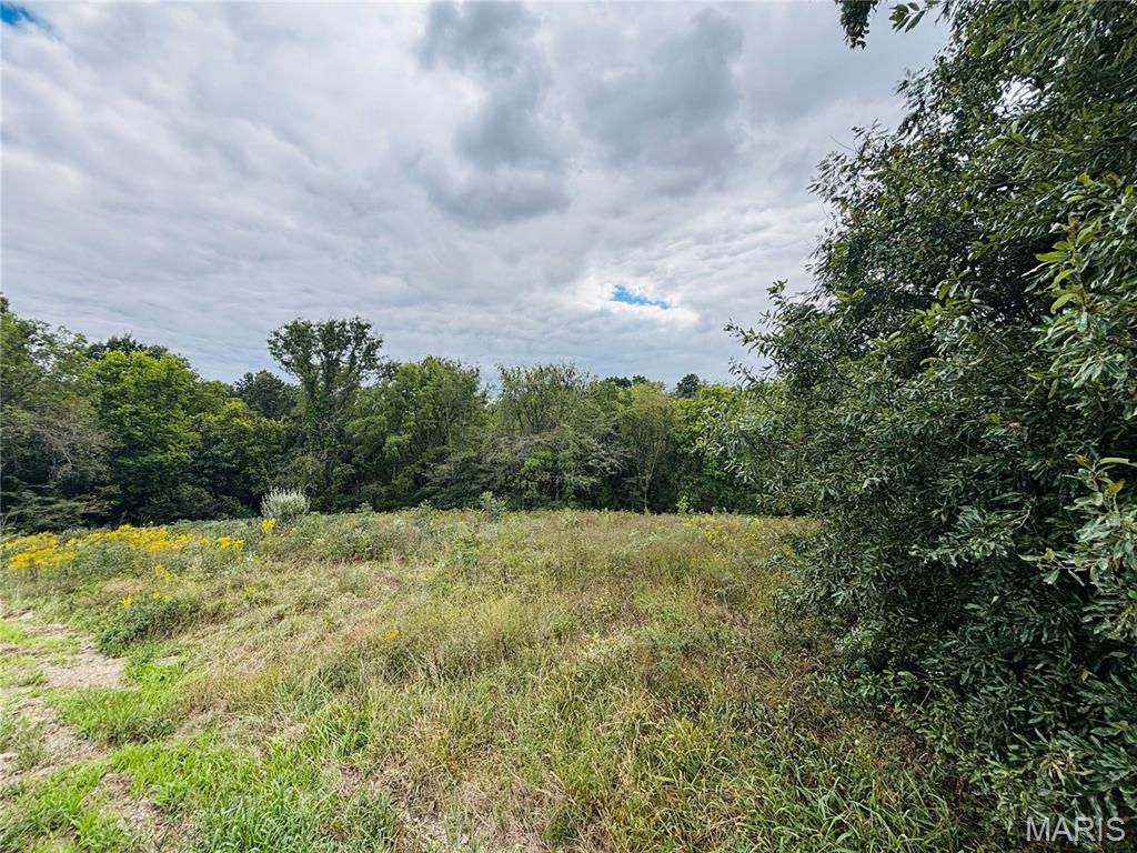 7924 County Road 453 Property Photo 1