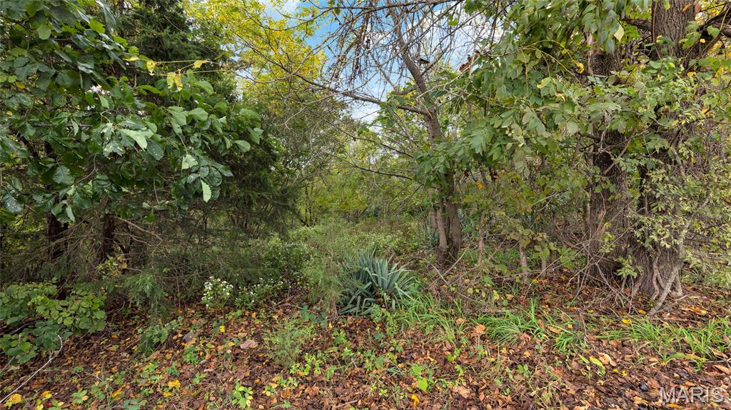 7924 County Road 453 Property Photo 4