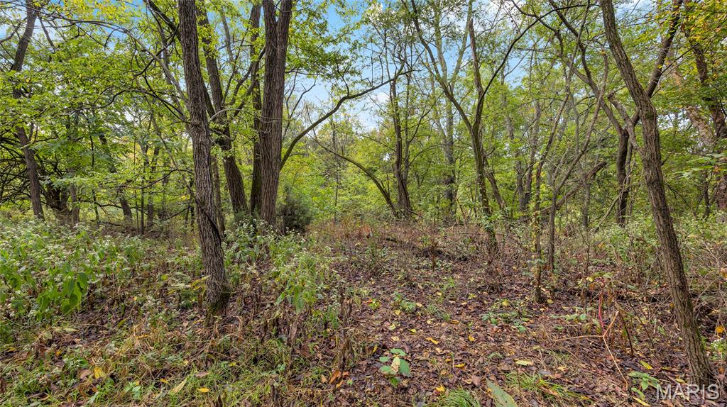 7924 County Road 453 Property Photo 7