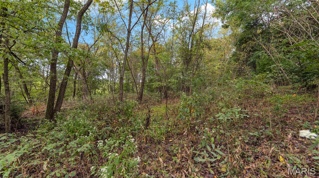 7924 County Road 453 Property Photo 8