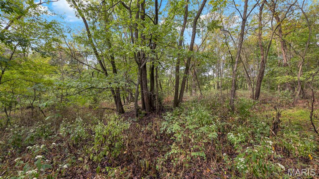 7924 County Road 453 Property Photo 9
