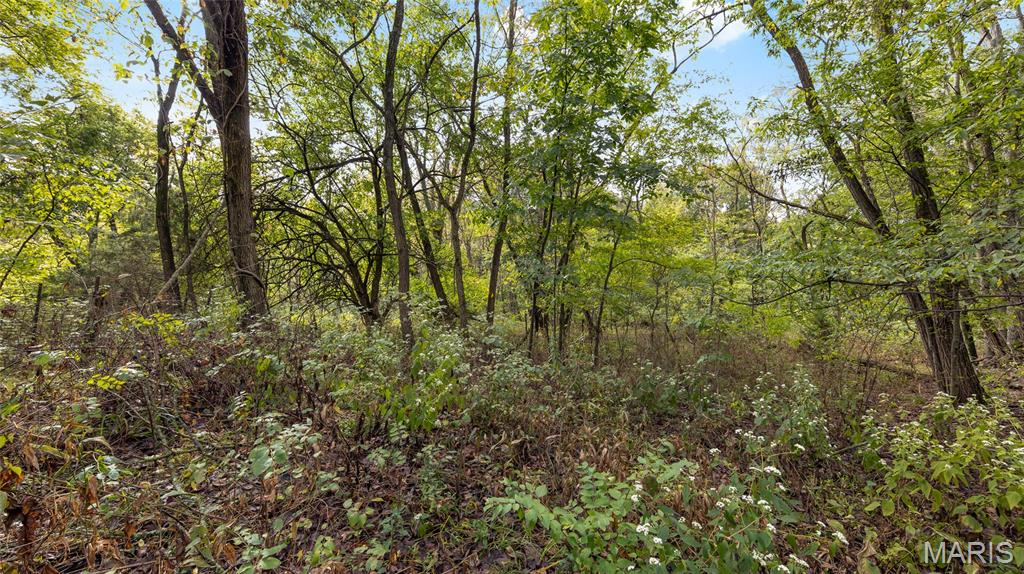 7924 County Road 453 Property Photo 10
