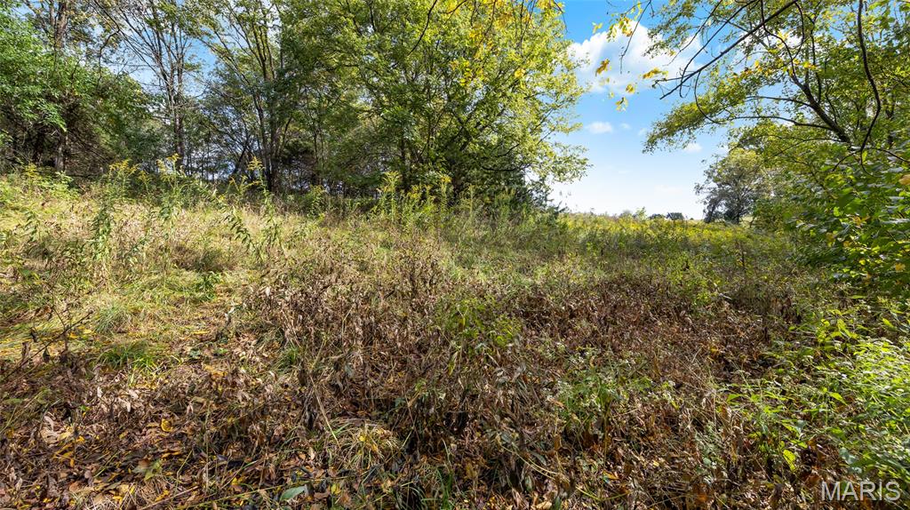 7924 County Road 453 Property Photo 11