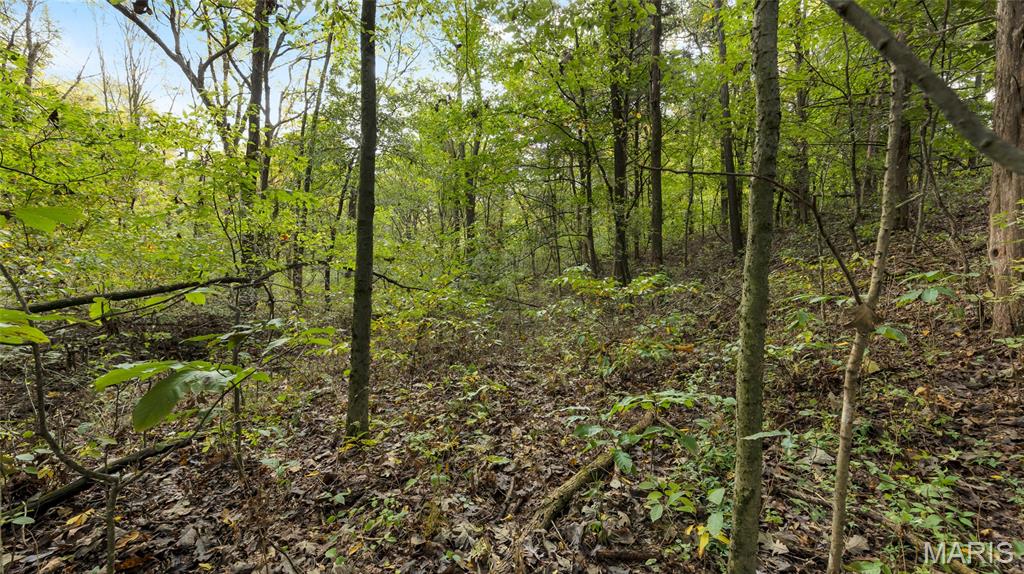 7924 County Road 453 Property Photo 14