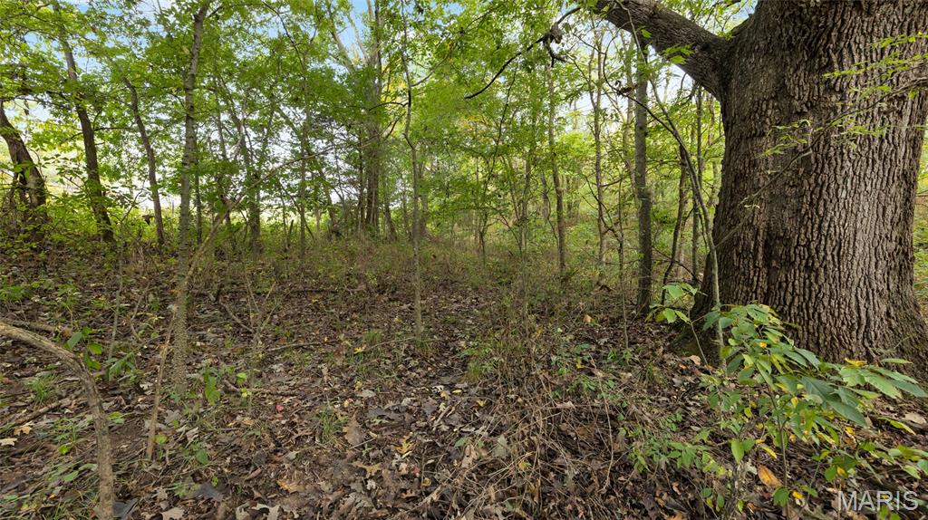 7924 County Road 453 Property Photo 15