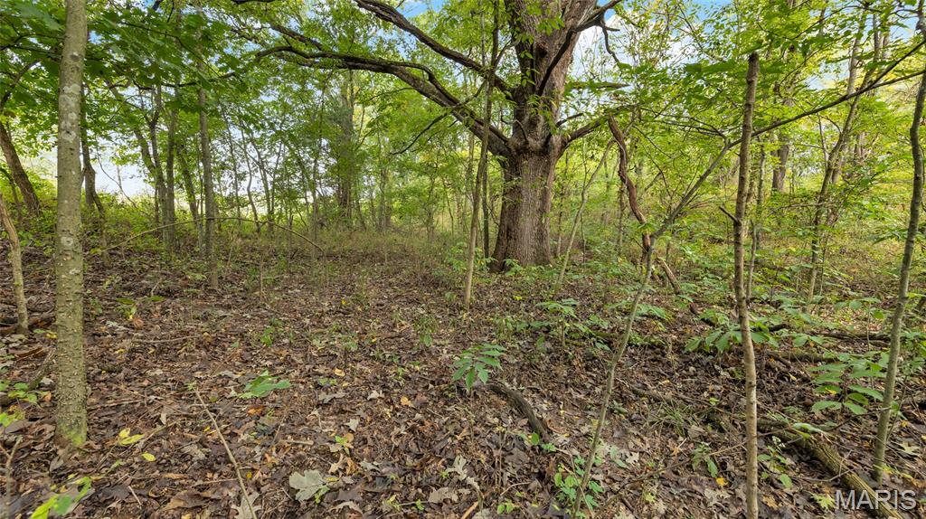 7924 County Road 453 Property Photo 17