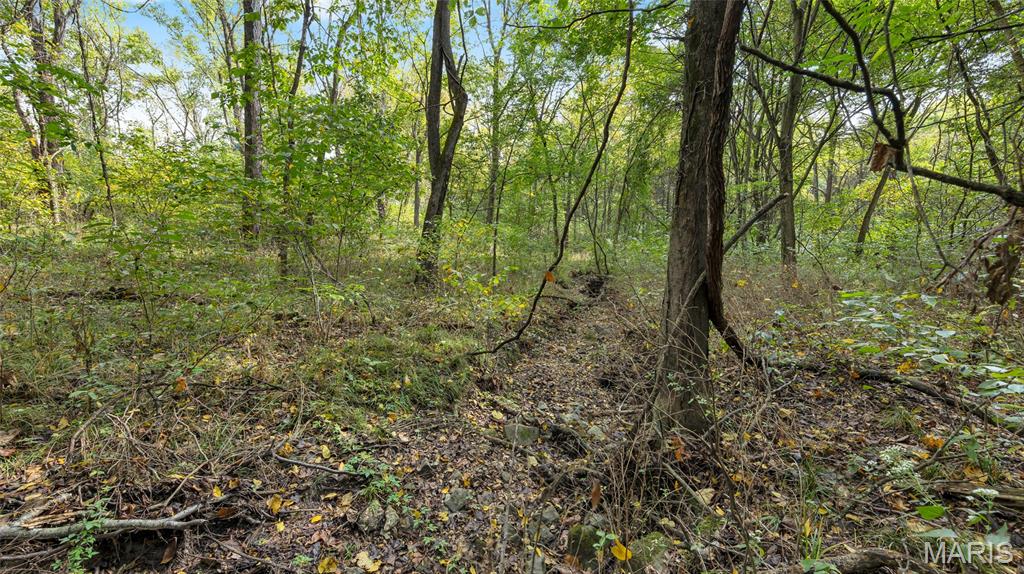 7924 County Road 453 Property Photo 18