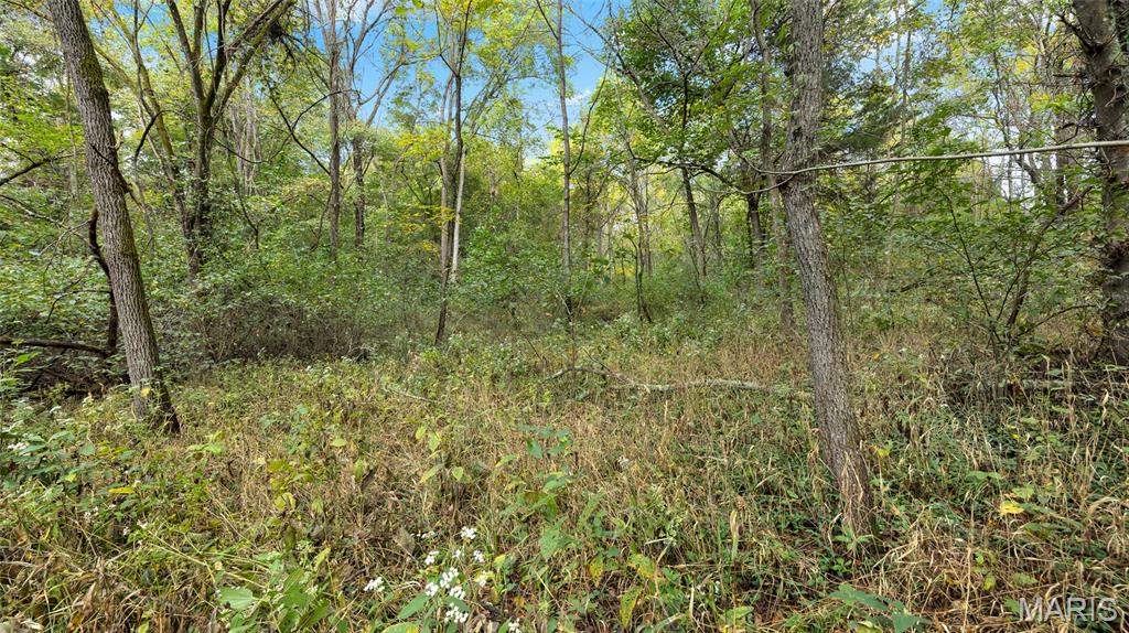 7924 County Road 453 Property Photo 19