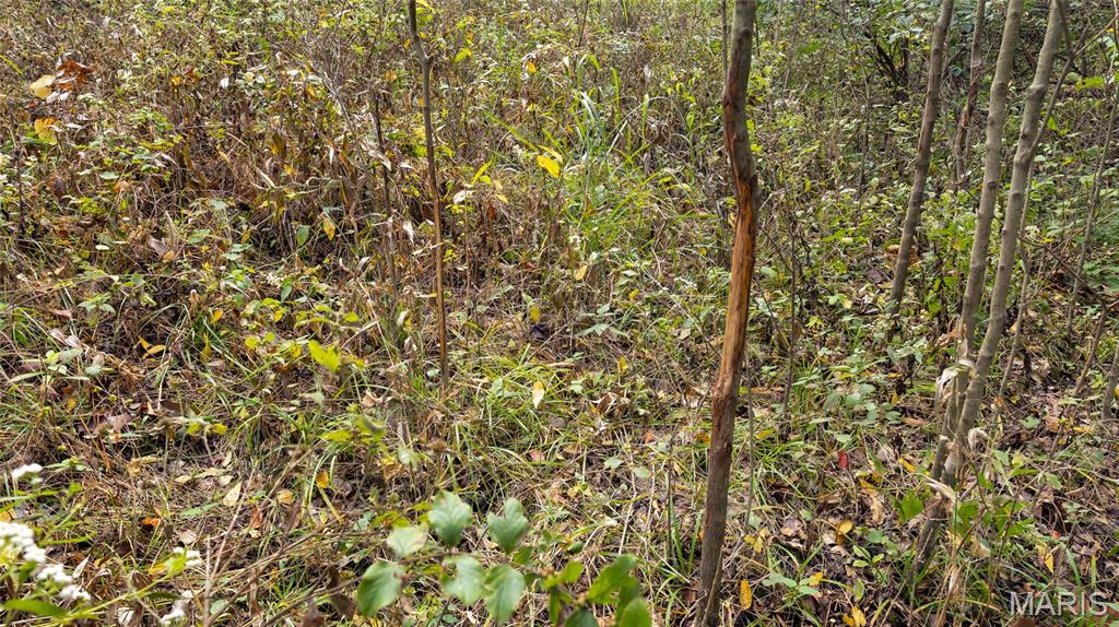7924 County Road 453 Property Photo 20