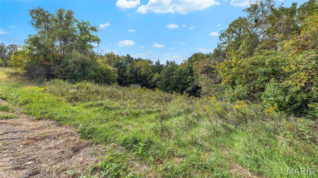 7924 County Road 453 Property Photo 21