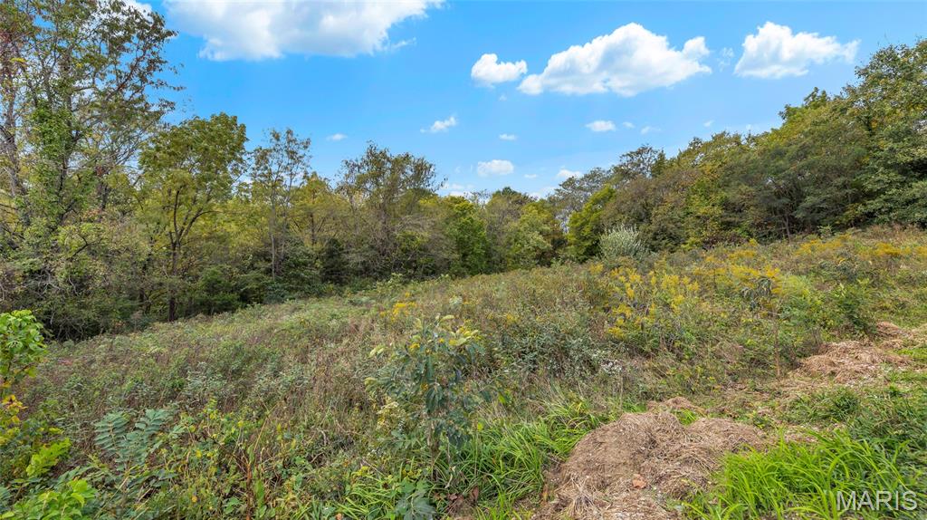 7924 County Road 453 Property Photo 22