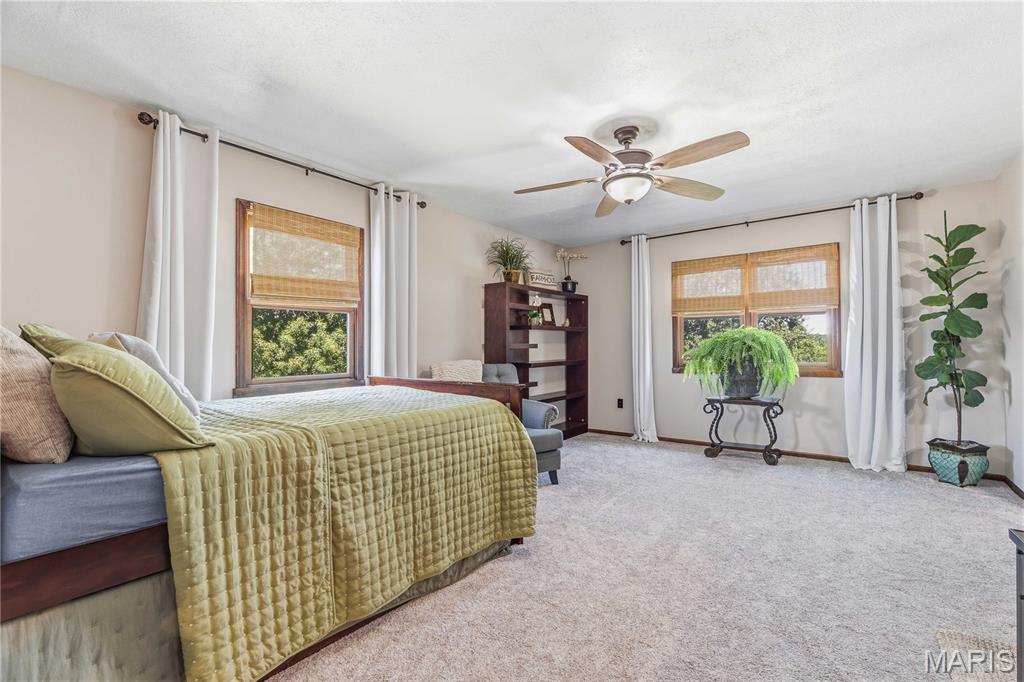 33961 Highway D Property Photo 26