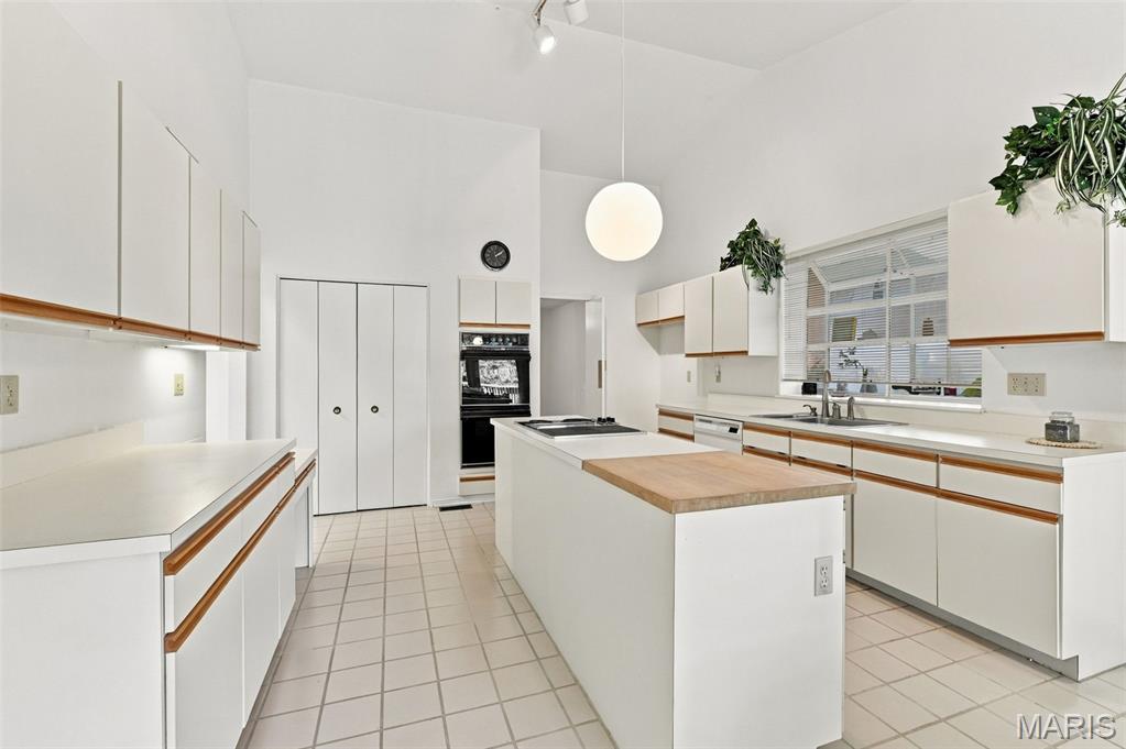 14033 Baywood Villages Drive Property Photo 6